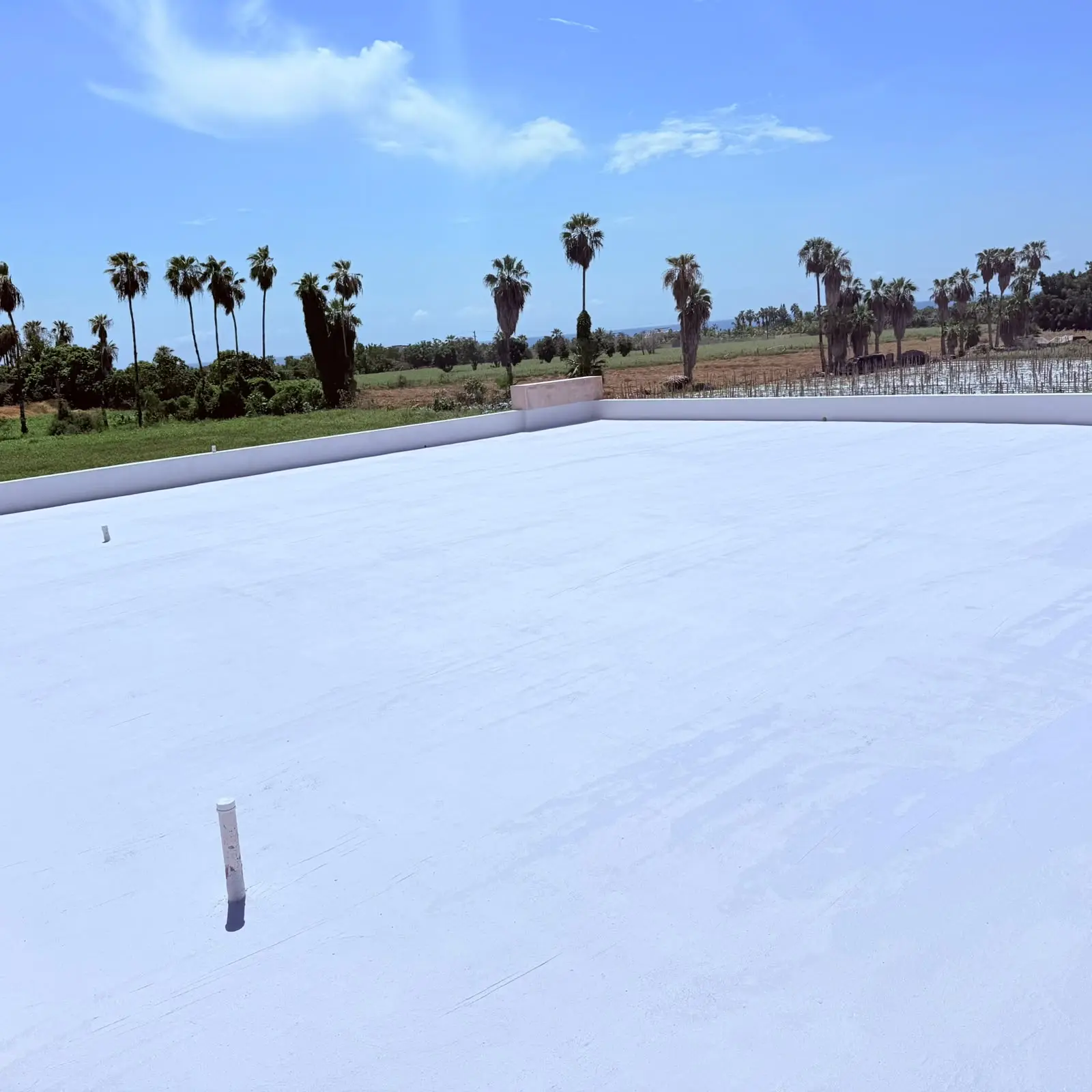 Finished white rooftop with palm trees in the background